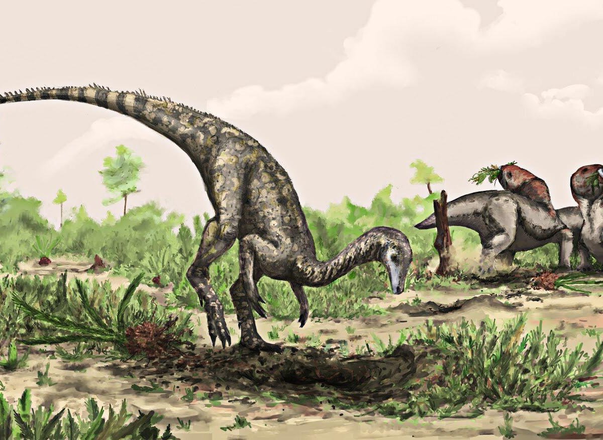 Primeiros dinossauros podem ter surgido na Amazônia, diz estudo