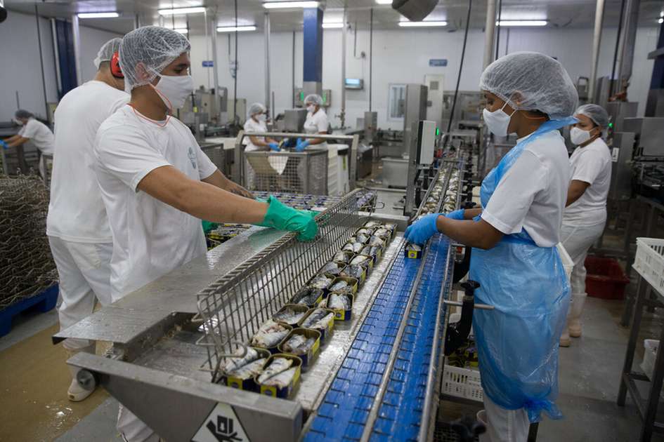 Por que a taxa de desemprego é a menor dos últimos quatro anos no Ceará - Negócios