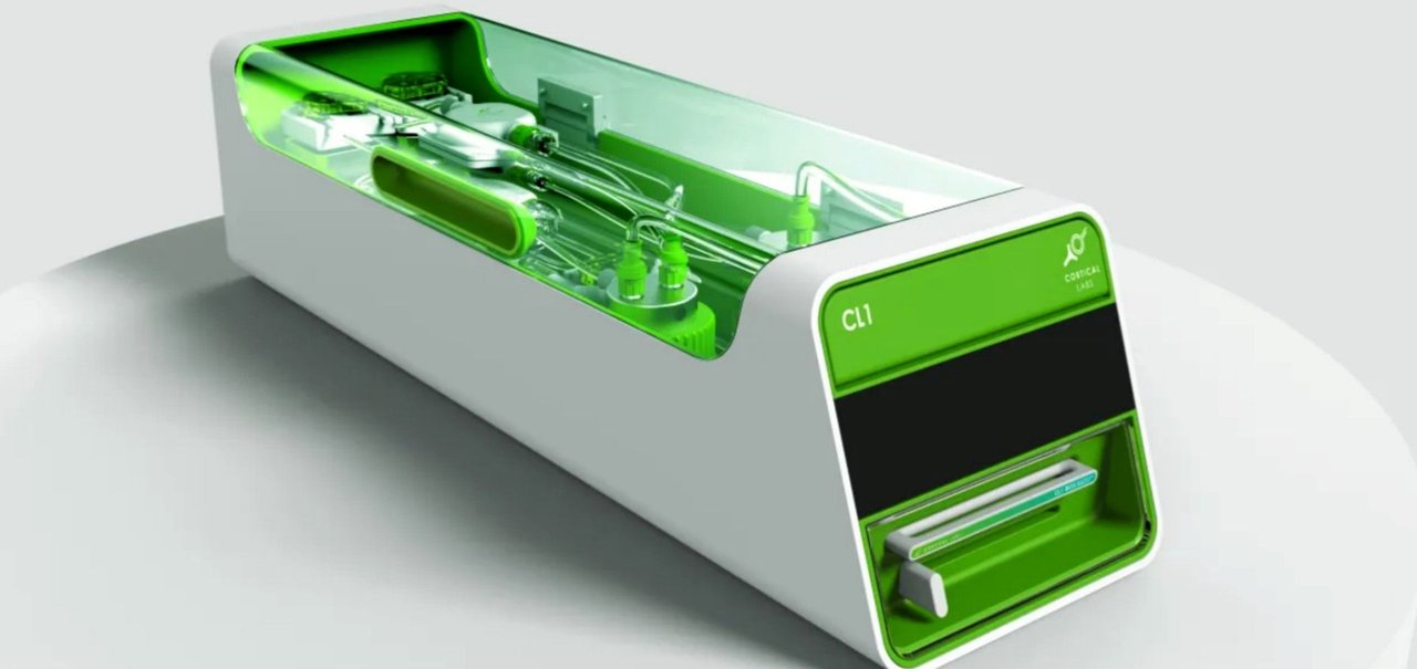 Avatar do(a) autor(a): Felipe Vidal