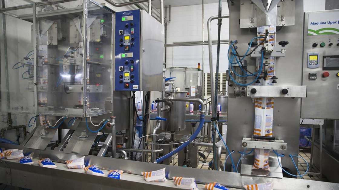 Três regiões do Ceará concentram grande produção de alimentos; veja cidades - Negócios