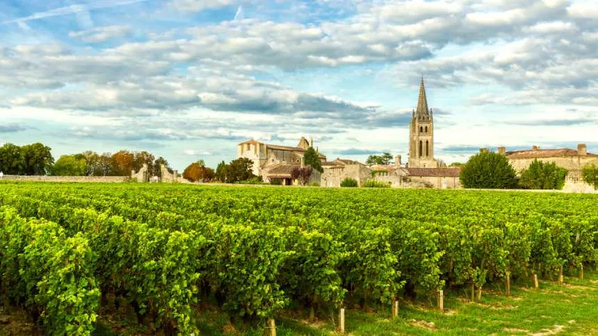 Na Wine, a consolidação do portfólio premium passa pelos vinhedos de Bordeaux