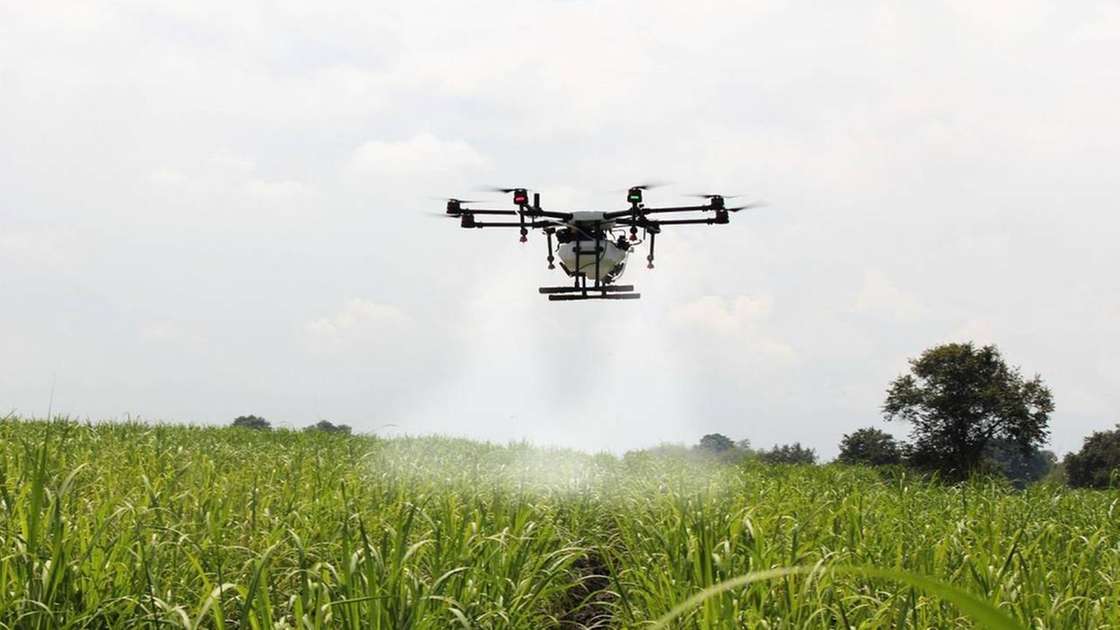 Drones tornam irrigação agrícola mais eficiente no Ceará - Egídio Serpa