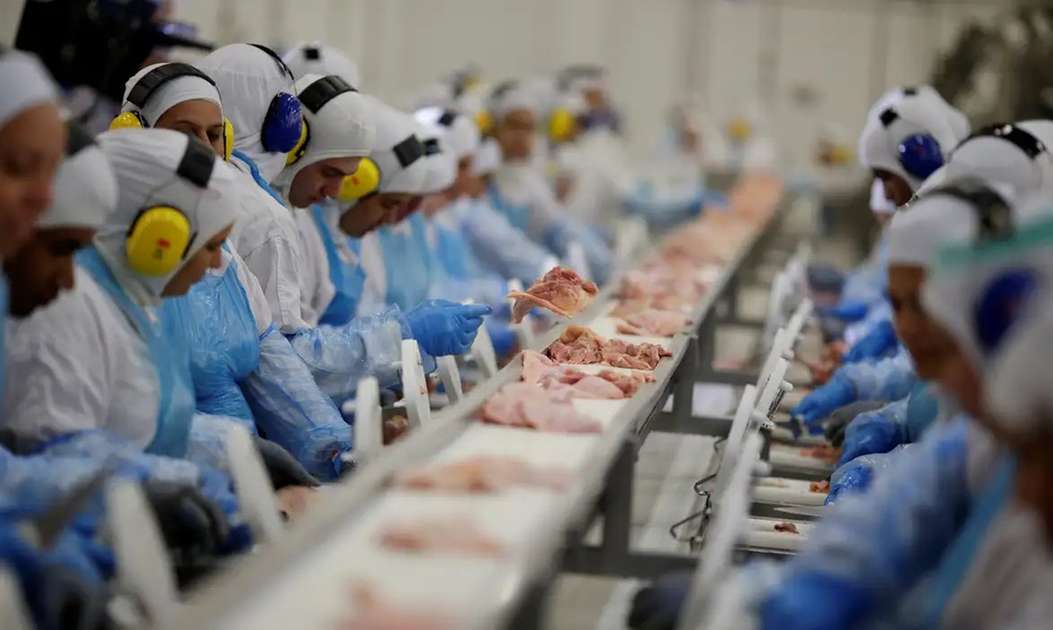 Combustíveis, alimentos e produtos metalúrgicos puxam vendas da indústria cearense – Negócios