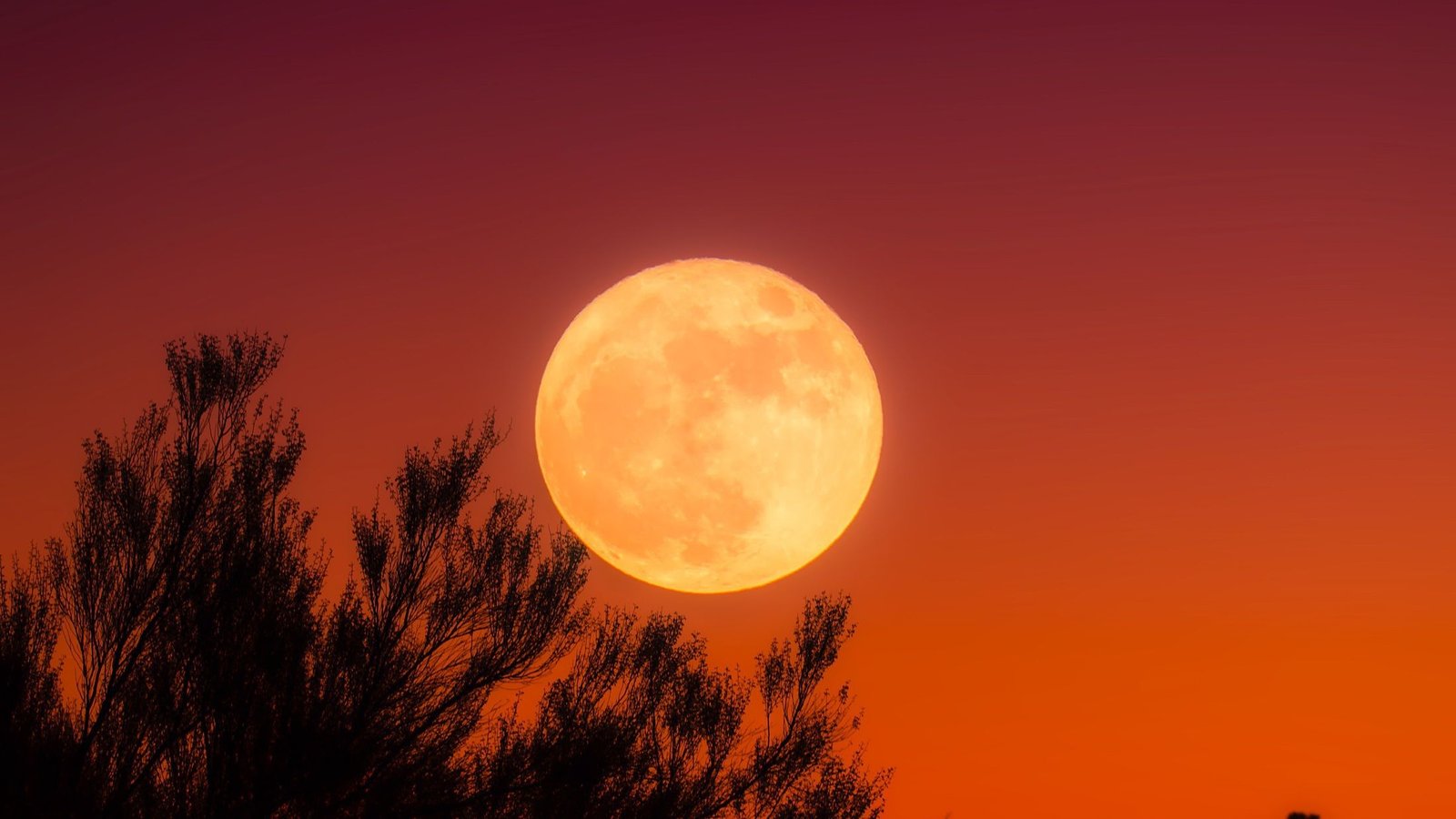 Lua de sangue e eclipse lunar total em setembro: como assistir
