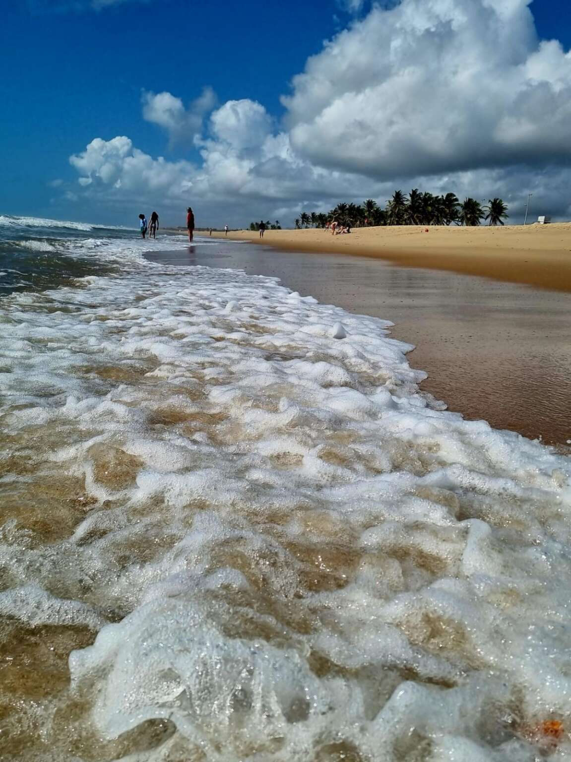 Fortaleza tem 24 trechos próprios para banho neste fim de semana