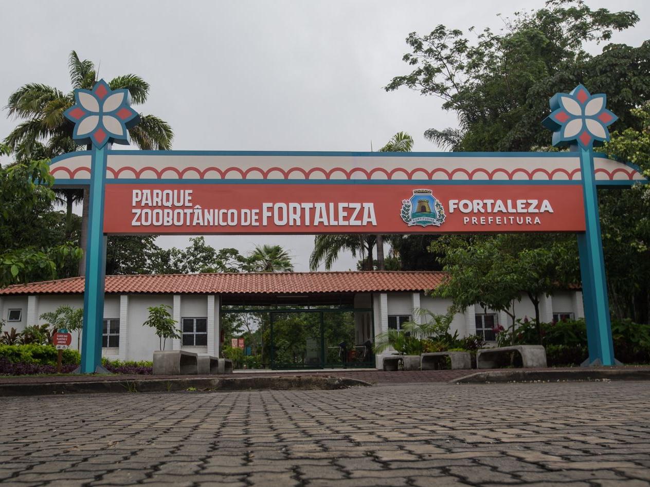 Zoológico de Fortaleza recebe 17 novos animais vindos do Pará