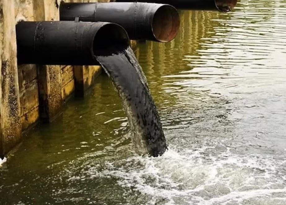 STJ Confirma: Crime de Poluição Ambiental se Configura Mesmo Sem Dano Concreto