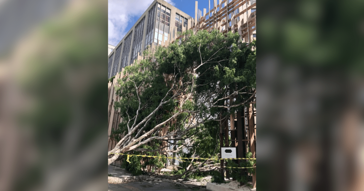 Ciclone atinge São Paulo e causa grandes estragos no estado; confira