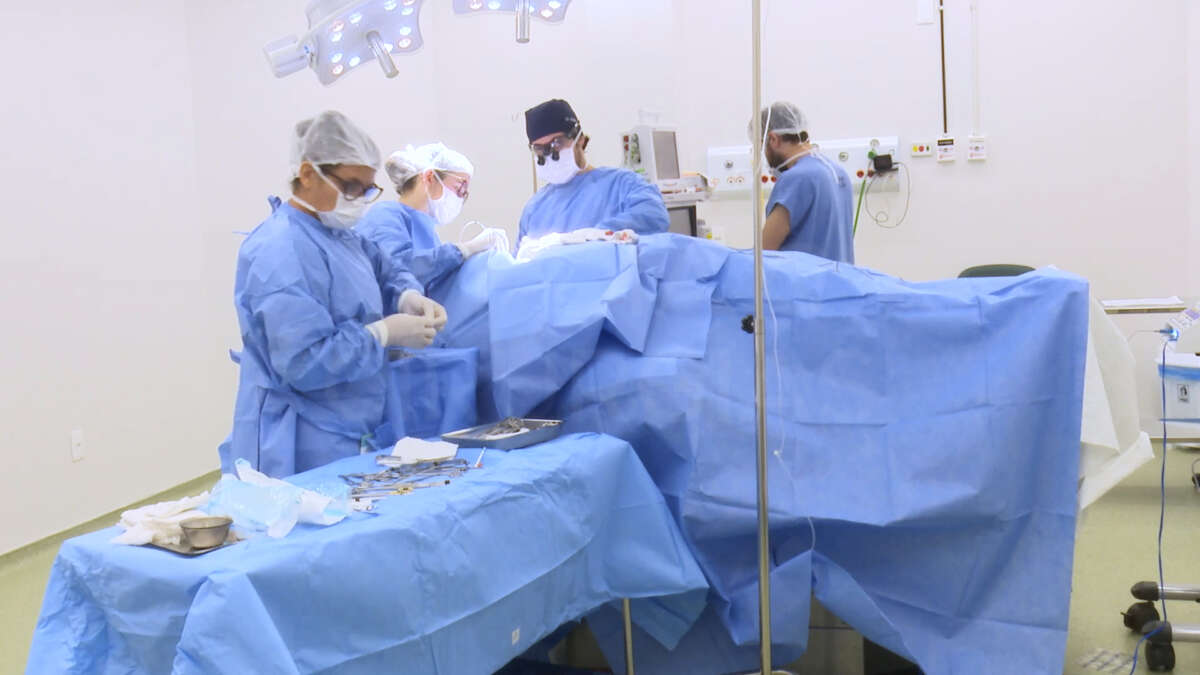 Mutirão em Fortaleza realiza 1,4 mil atendimentos para reduzir filas do SUS