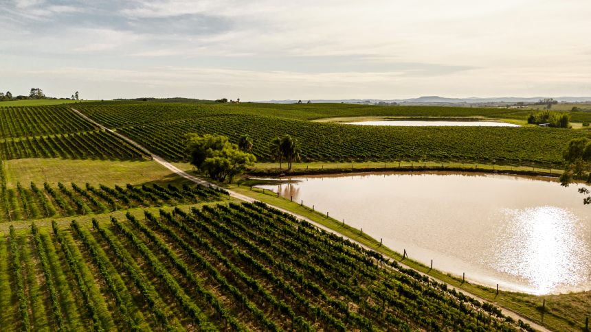 Com fartura de terras e de mão de obra, Encruzilhada do Sul quer ser a nova Serra Gaúcha