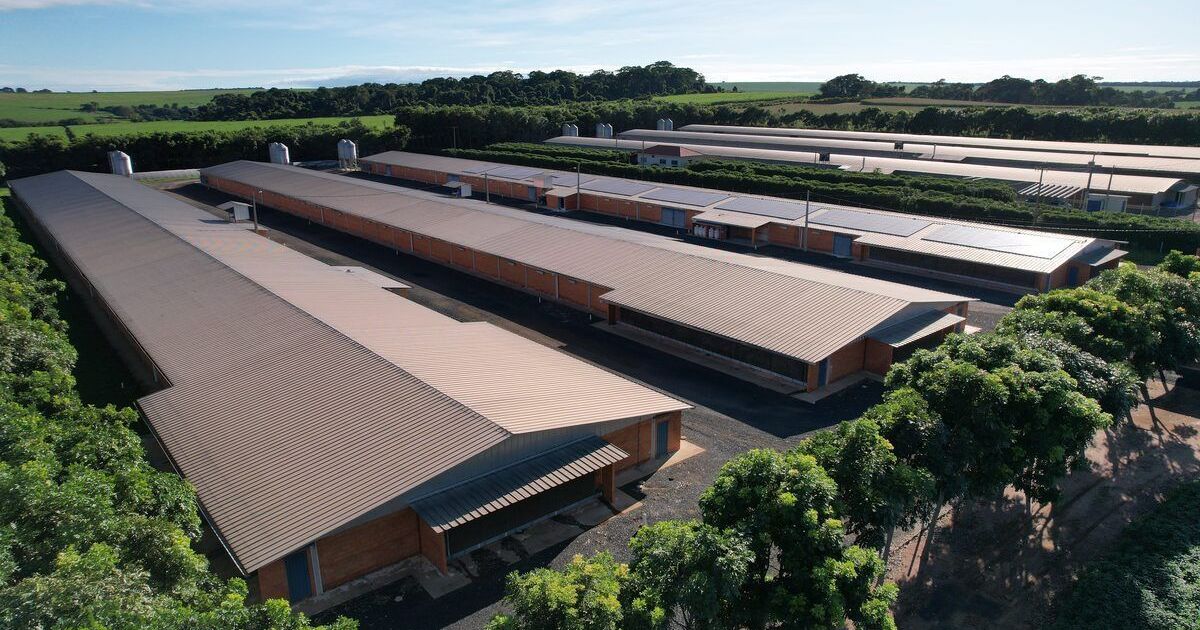 Saint-Gobain registra alta de 30% na procura por isolamento térmico no agro